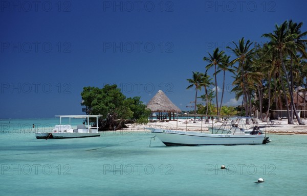 Sandy beach beach, Punta Cana, Caribbean, Dominican Republic, Central America