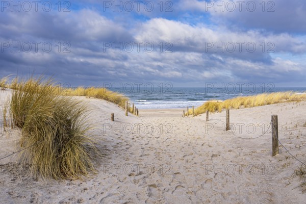 Beach on the coast of the Baltic Sea in Graal Müritz