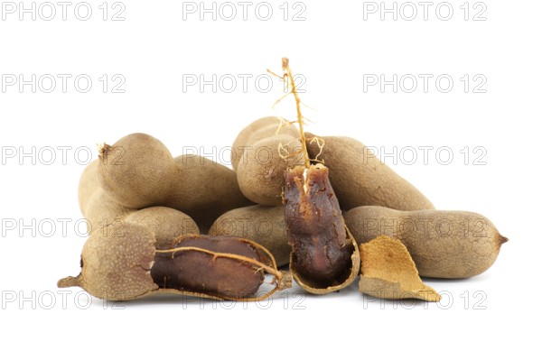 Tamarind fruits, whole and cracked open isolated on white background (Tamarindus indica)