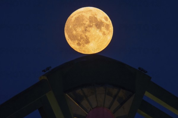 The full moon passes over the Flößerbrücke bridge in Frankfurt am Main. A super moon will shine