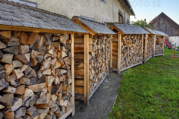 Stacked logs, firewood, Unteruhldingen, Baden-Württemberg, Germany, Europe