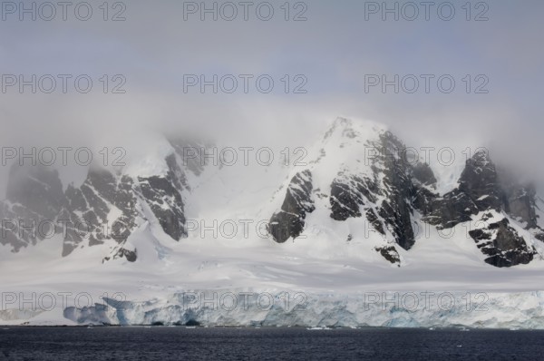 Cuverville Island, Antarctic Peninsula
