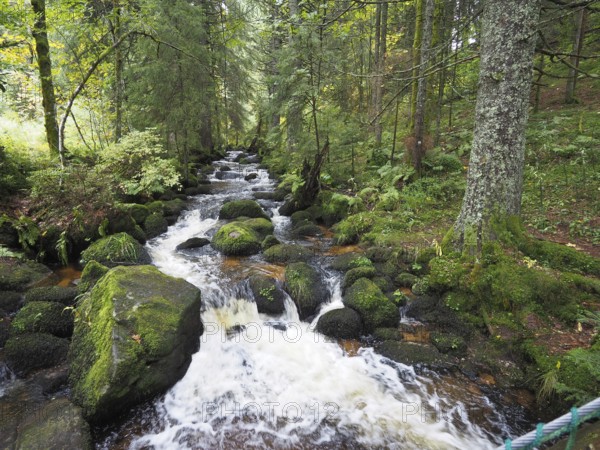 The Elz is a right-bank tributary of the Rhine in the Black Forest. The river rises in the area of
