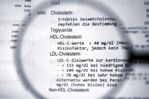 Cholesterinwerte