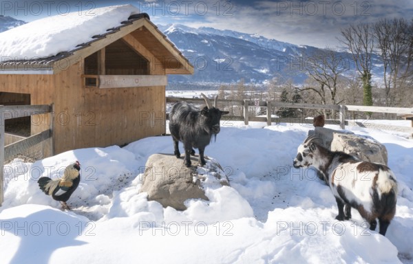 Maienfeld, GR, Switzerland - January 20, 2019: Maienfeld tourist attraction Heidi village in winter