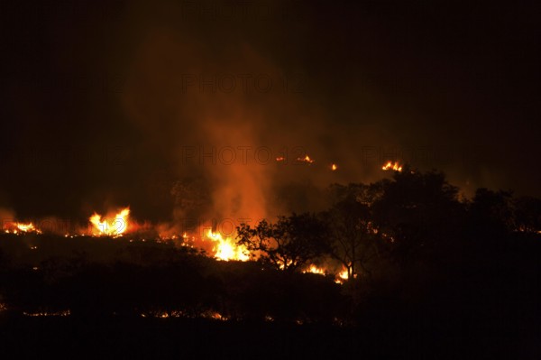Bushfire, KwaZulu-Natal, South Africa, Fire, Africa