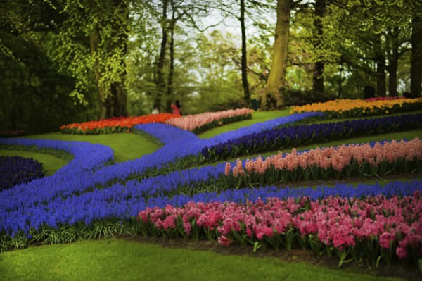 Keukenhof in the Netherlands has long been a magnet for international tourism, but it is