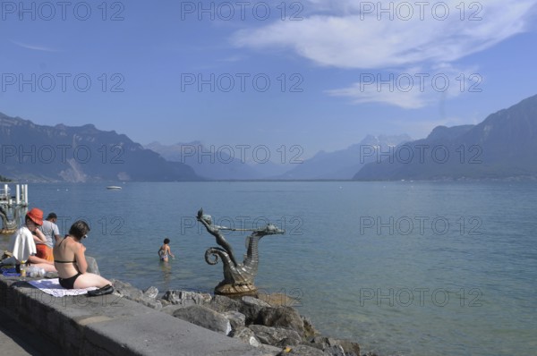 Ein Seepferd badet mit den Schwimmern im Genfersee bei Vevey. A sea horse taking a bath in Lake