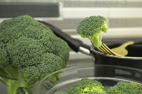 Fresh broccoli on a fork, preparation for cooking on the kitchen table