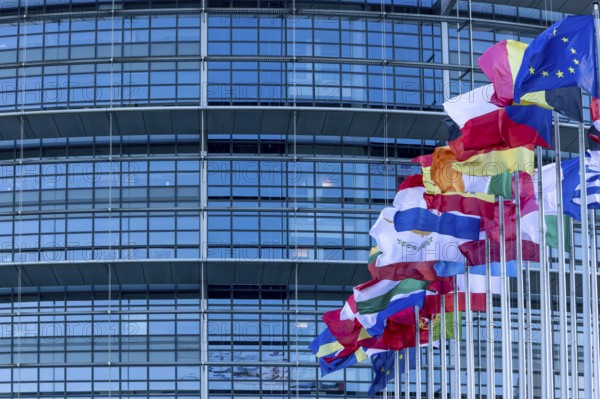 EU flags on poles in front of the Glass Fasadz building and the entrance to the European