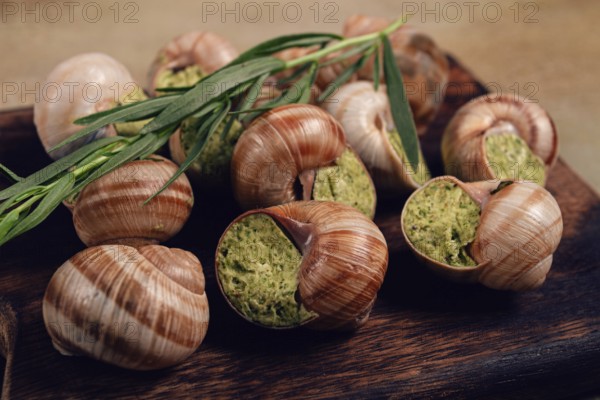 Food, Snails stuffed in Burgundy, on a wooden board, top view, French cuisine, no people