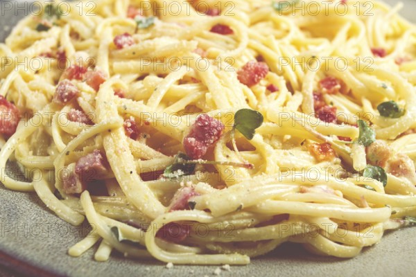 Spaghetti carbonara, spaghetti in cream sauce, with pancetta, homemade, no people