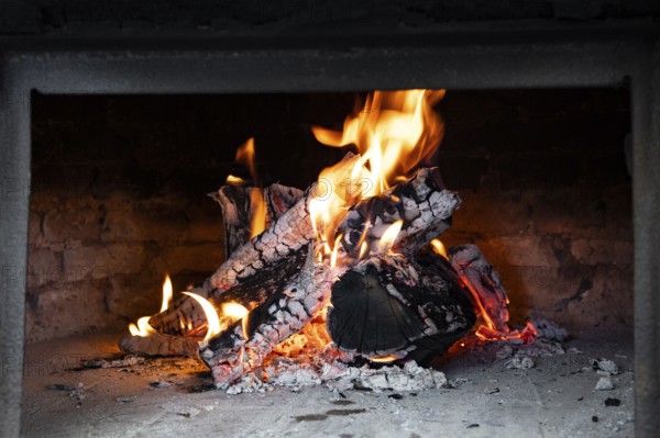 Clay oven with wood burning inside