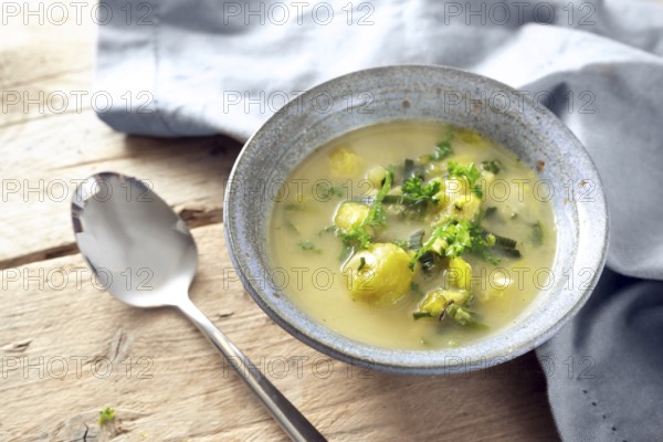 Vegetarian soup from vegetables like brussels sprout, leek and potato with parsley garnish in a