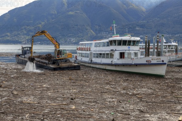 Driftwood after storm, crane, Lake Maggiore, Locarno, Ticino, Lake Maggiore, Switzerland, Europe