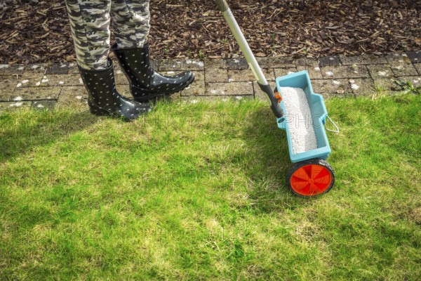 Fertilize lawn - Detail of Fertilizer spreader on green lawn