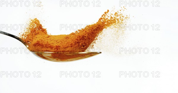 Turmeric (curcuma longa), curcuma Powder falling on Spoon, Indian Spice against white background