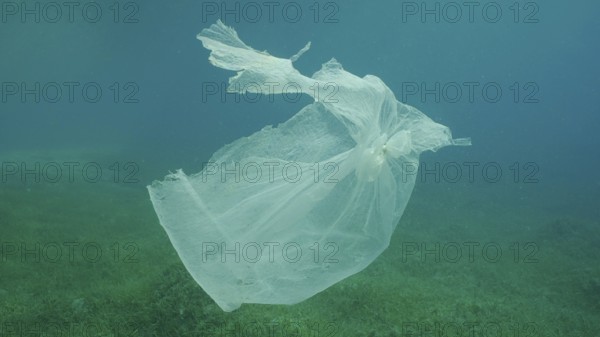 Old plastic bag drifting in water column over seagrass meadow. Plastic bag floating underwater on