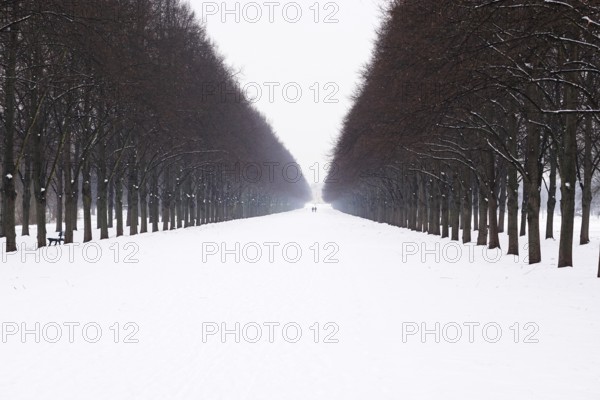 wide snow covered alley in winter with tiny people in the distance