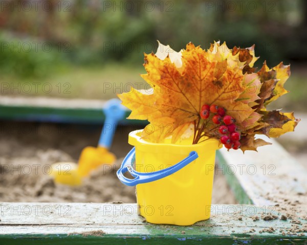 Bouquet of maple leaves and ashberry on playground in autumn