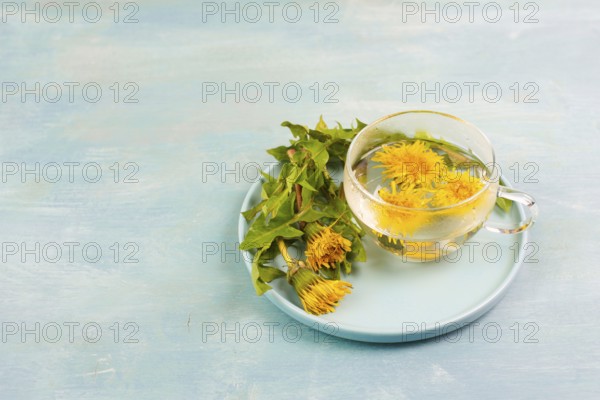 Dandelion wildflower tea, glass with herbal hot drink, alternative medicine for detox, leaves and