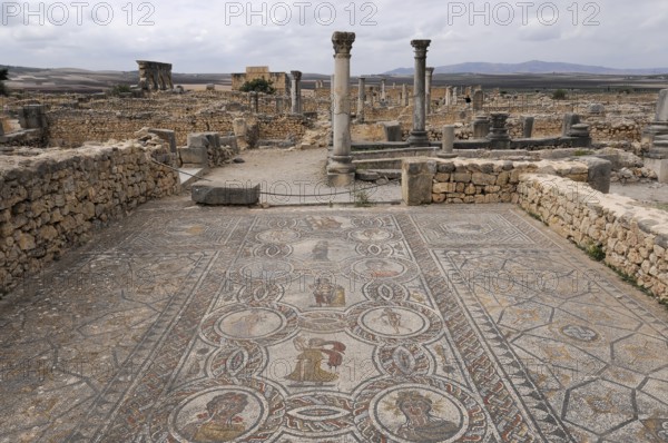 Archaeological excavation of the ancient Roman city of Volubilis, UNESCO World Heritage Site, view