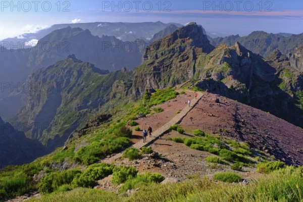 View from Pico do Arieiro (1818m) hiker, hiking trail, mountains, gorse, Madeira Island