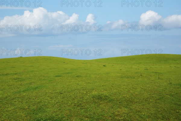 Hillside lounger mountain meadow