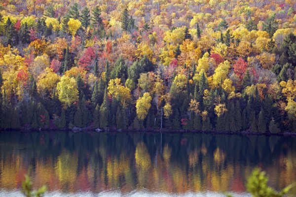 Autumn forest panorama at lake sacacomie in Canada