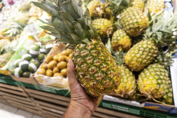A person is holding a pineapple in a grocery store. The pineapple is surrounded by other fruits and