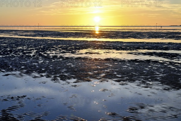 Wadden Sea shortly in front of sunset, Sahlenburg, Cuxhaven, Lower Saxony, Germany, Europe