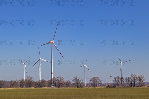 Wind farm near Elsterwerda