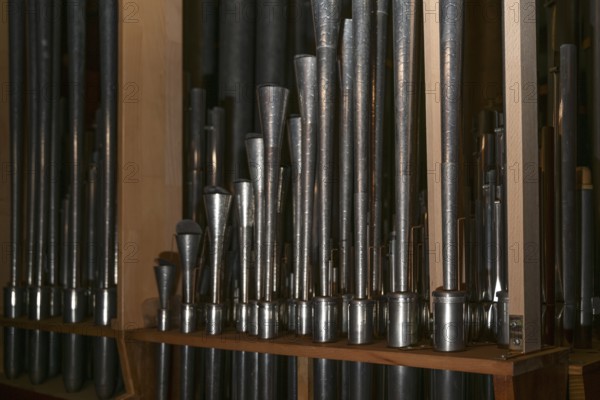 Inside a church organ, register with reed pipes from metal with tuning wire and resonator, musical