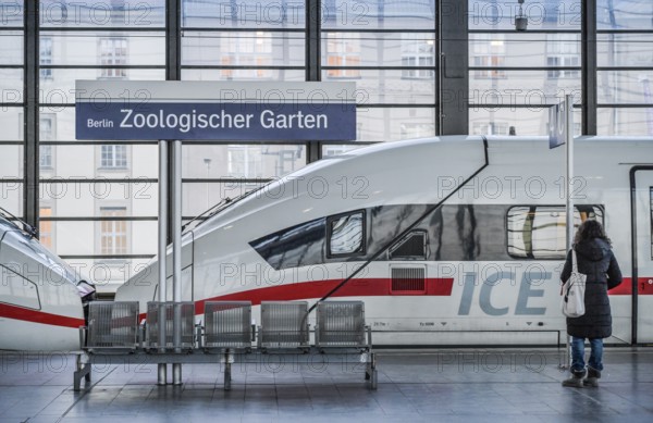 ICE, Bahnhof Zoo, Charlottenburg, Berlin, Germany, Europe