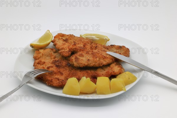 Schnitzel, Wienerschnitzel, potato, lemon, plate