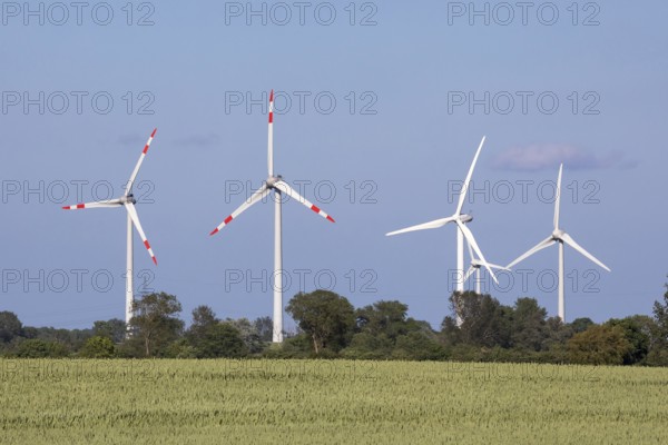 Wind turbines in front of a blue sky near Gremersdorf, Schleswig-Holstein. With wheat field. Wind