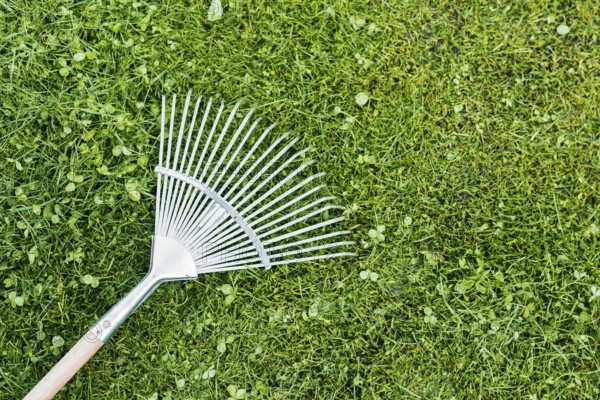 Top view rake grass