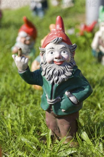 Garden gnome gives the finger
