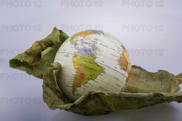 Little model globe placed on dry Autumn leaf