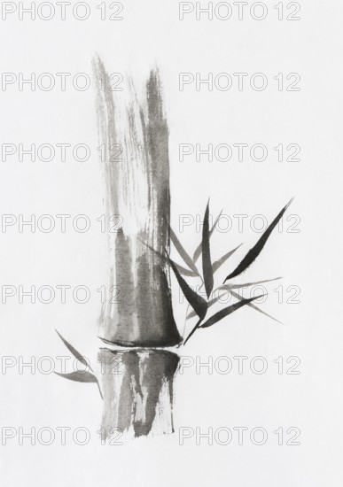 Beautiful Zen painting of bamboo stalk and leaves. Sumi-e Chinese Japanese black ink on rice paper
