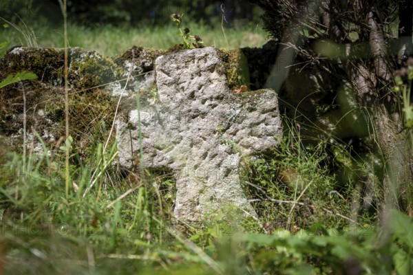 Very old single gravestone made of coloured sandstone overgrown with grass and weeds