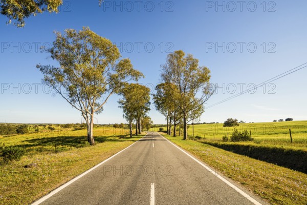 Beautiful landscape of Alentejo and famous national road N2, Almodovar, Portugal, Europe