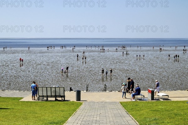 Path at the foot of the dyke with Wadden Sea, Büsum, Dithmarschen, Schleswig-Holstein, Germany,