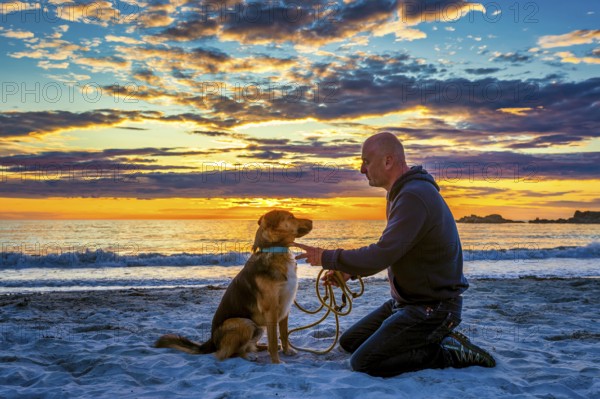 Man, dog, shepherd dog, sitting, kneeling, opposite, sunset, midnight sun, evening light, beach,