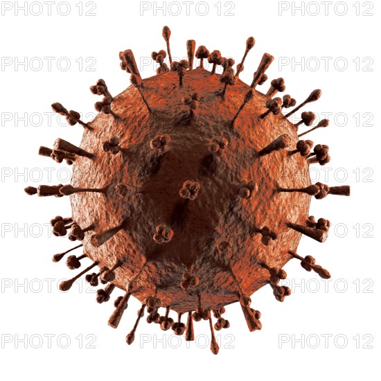 Flu virus H1N1 H5N1 influenza A virus particle, virion. Swine flu, avian flu, canine flu, equine