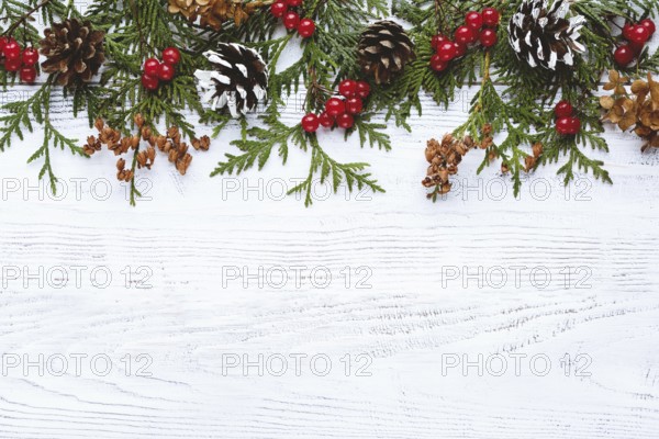 Border of Christmas tree branches pine cones flowers and red berries on white wooden background,