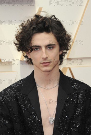 Timothée Chalamet at the 94th Annual Academy Awards held at the Dolby Theatre in Los Angeles, USA