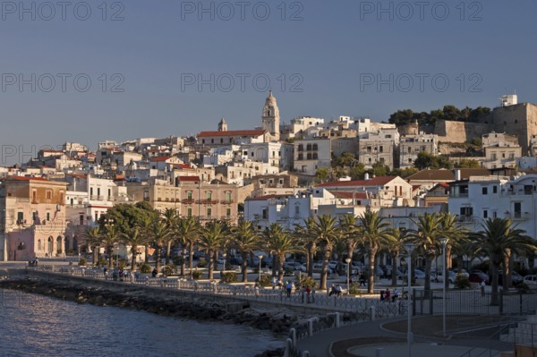 Vieste, Province of Foggia, Gargano Peninsula, Puglia, Adriatic Sea, Adriatic Sea, Italy, Europe