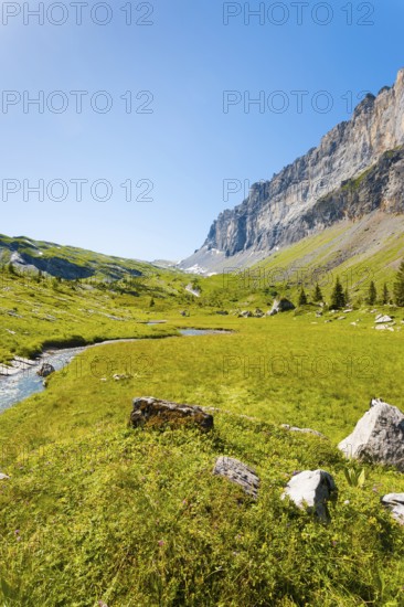 Beautiful green grass valley at high altitude at Sixt Fer A Cheval National Park with view of Tete