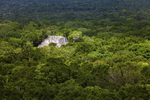 Maya-Ruinen in Calakmul